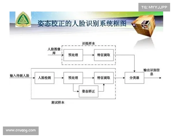 面部识别技术:运作原理 面部识别技术:运作原理