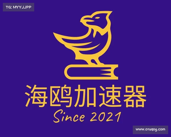 介绍海鸥加速器